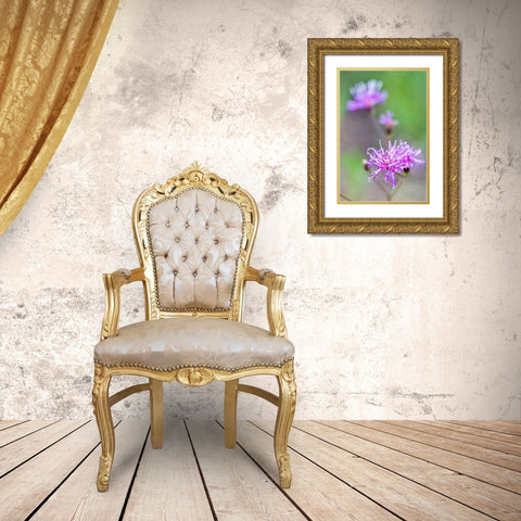 Florida ironweed Gold Ornate Wood Framed Art Print with Double Matting by Richardson, Larry