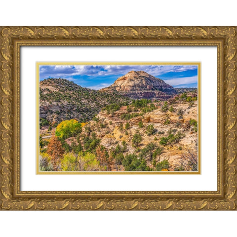 Colorful Autumn-Canyonlands National Park-Needles District-Utah Gold Ornate Wood Framed Art Print with Double Matting by Perry, William
