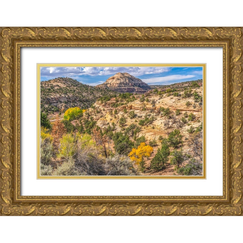 Colorful Autumn-Canyonlands National Park-Needles District-Utah Gold Ornate Wood Framed Art Print with Double Matting by Perry, William