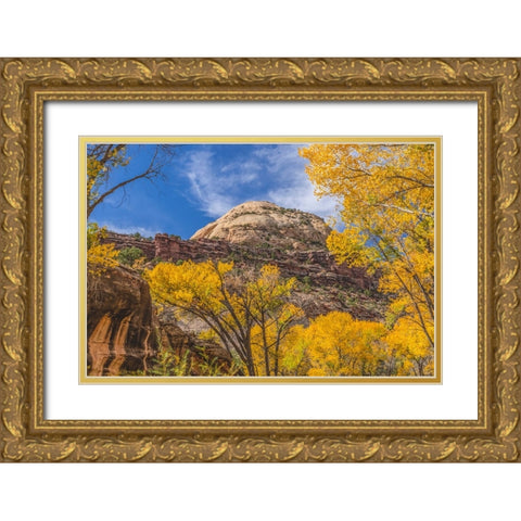 Colorful yellow cottonwood trees-Canyonlands National Park-Needles District-Utah Gold Ornate Wood Framed Art Print with Double Matting by Perry, William
