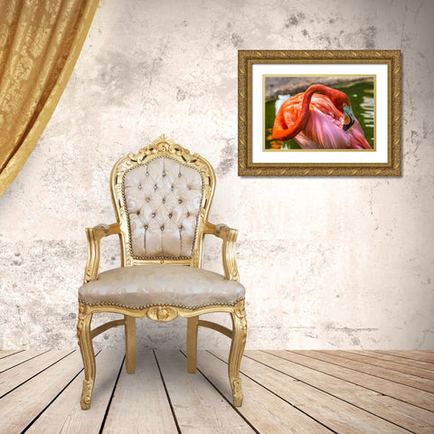 Colorful American Caribbean Flamingo-Florida Gold Ornate Wood Framed Art Print with Double Matting by Perry, William