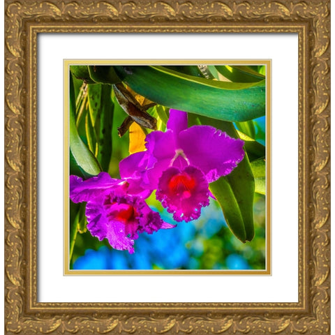 Tropical flowers-Florida Gold Ornate Wood Framed Art Print with Double Matting by Perry, William