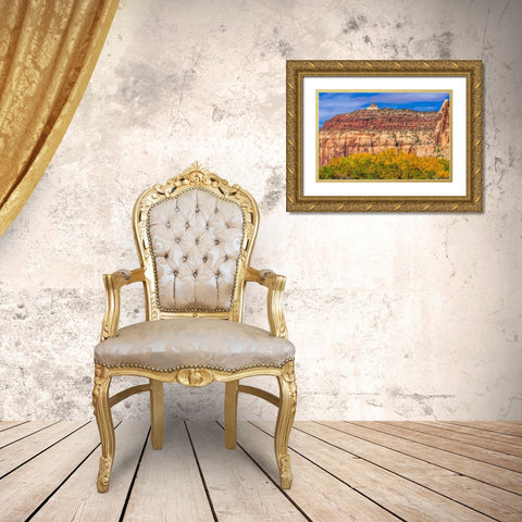 Colorful yellow cottonwood trees White Red Mountain Autumn-Canyonlands National Park-Needles Distri Gold Ornate Wood Framed Art Print with Double Matting by Perry, William