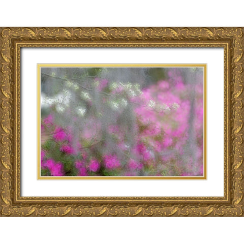 Soft focus view of flowering dogwood trees and azaleas in full bloom in spring-Bonaventure Cemetery Gold Ornate Wood Framed Art Print with Double Matting by Jones, Adam