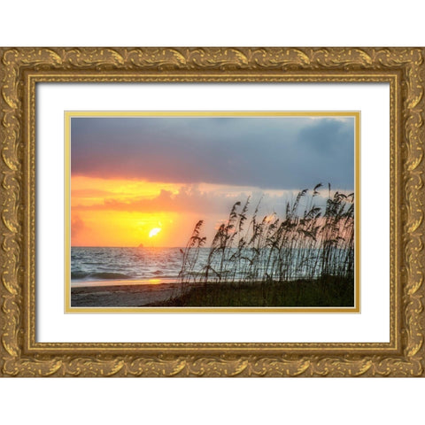 Sunrise on Atlantic Beach Gold Ornate Wood Framed Art Print with Double Matting by Miller, Anna