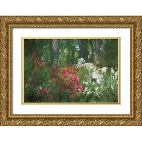 USA, Georgia, Azalea reflection in pond Gold Ornate Wood Framed Art Print with Double Matting by Rotenberg, Nancy