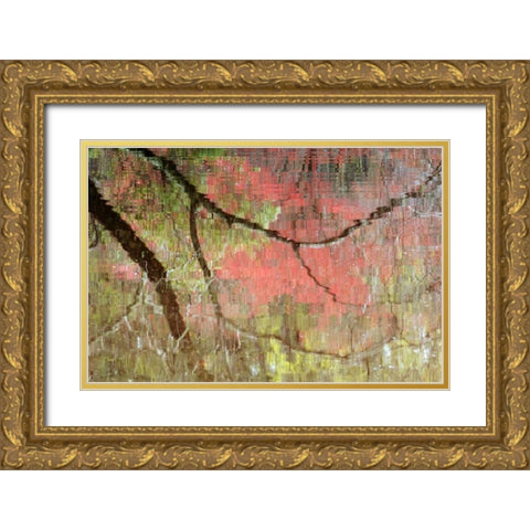 Georgia, Reflections of early spring buds in pond Gold Ornate Wood Framed Art Print with Double Matting by Rotenberg, Nancy