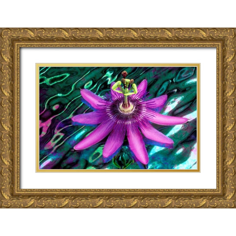 GA, Alpharetta Passion flower on stained glass Gold Ornate Wood Framed Art Print with Double Matting by Needle, Charles