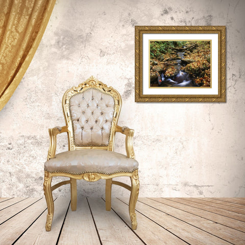 Georgia, Cherokee NF Small creek in autumn Gold Ornate Wood Framed Art Print with Double Matting by Flaherty, Dennis