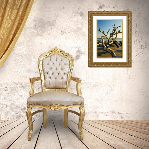 USA-Jekyll Island Gold Ornate Wood Framed Art Print with Double Matting by Theodore, George and Marilu