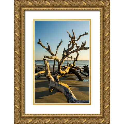 USA-Jekyll Island Gold Ornate Wood Framed Art Print with Double Matting by Theodore, George and Marilu