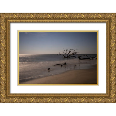 USA-Georgia-Jekyll Island-Sunset at Driftwood Beach and the petrified trees Gold Ornate Wood Framed Art Print with Double Matting by Looney, Hollice