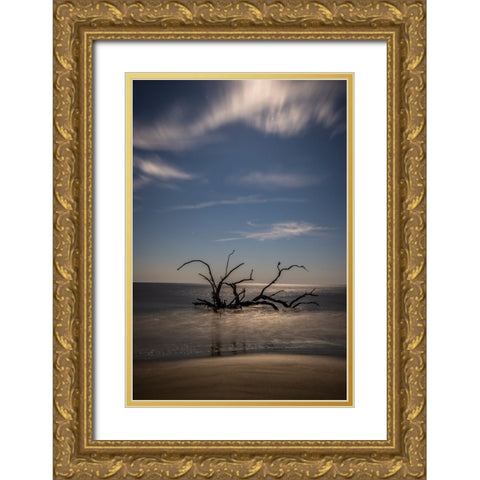 USA-Georgia-Jekyll Island-Sunset at Driftwood Beach and the petrified trees Gold Ornate Wood Framed Art Print with Double Matting by Looney, Hollice