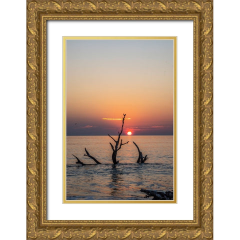USA-Georgia-Jekyll Island-Sunrise on Driftwood Beach of petrified trees Gold Ornate Wood Framed Art Print with Double Matting by Looney, Hollice