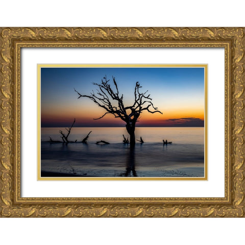USA-Georgia-Jekyll Island-Sunrise on Driftwood Beach of petrified trees Gold Ornate Wood Framed Art Print with Double Matting by Looney, Hollice