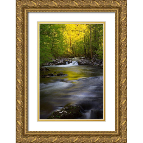 Tennessee Great Smoky Mountains National Park-Little River Gold Ornate Wood Framed Art Print with Double Matting by Wells, Joanne