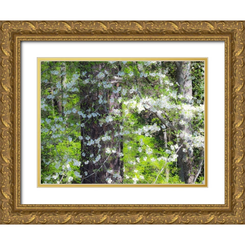 Georgia-Callaway gardens springtime Gold Ornate Wood Framed Art Print with Double Matting by Gulin, Sylvia