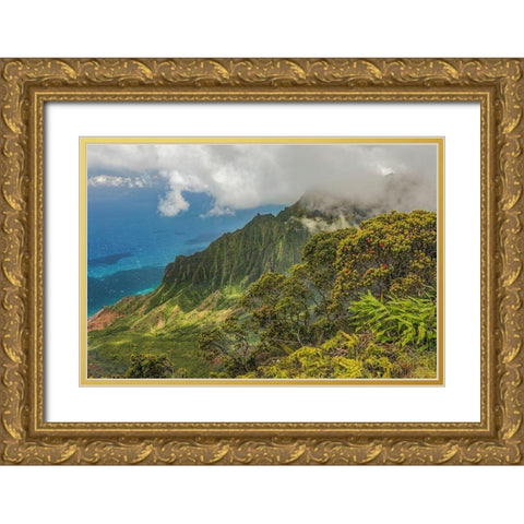 Napali coastline-Kauai-Hawaiian Islands, Gold Ornate Wood Framed Art Print with Double Matting by Jones, Adam