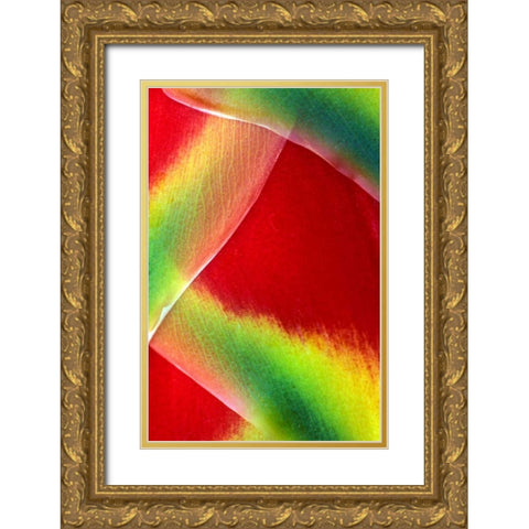 Hawaii, Maui Lobster claw or heliconia rostrata Gold Ornate Wood Framed Art Print with Double Matting by Needle, Charles