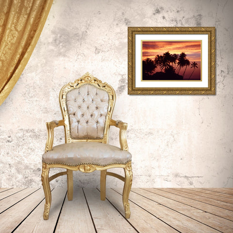 USA, Hawaii, Big Island Sunset over palm grove Gold Ornate Wood Framed Art Print with Double Matting by Ross, Nancy ,  Steve