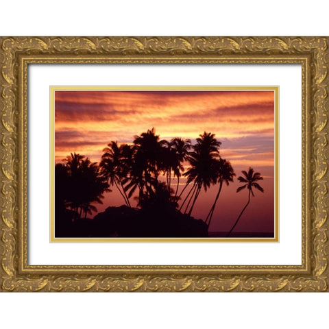 USA, Hawaii, Big Island Sunset over palm grove Gold Ornate Wood Framed Art Print with Double Matting by Ross, Nancy ,  Steve
