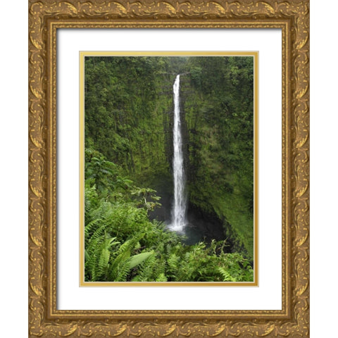 USA, Hawaii, Hilo View if Akaka Falls Gold Ornate Wood Framed Art Print with Double Matting by Kaveney, Wendy