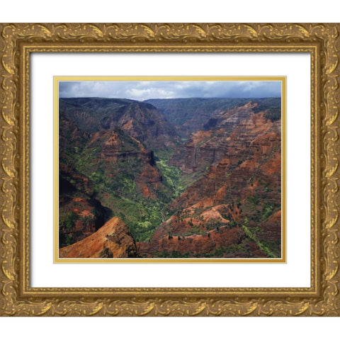 USA, Hawaii, Kauai Waimea Canyon overlook Gold Ornate Wood Framed Art Print with Double Matting by Flaherty, Dennis