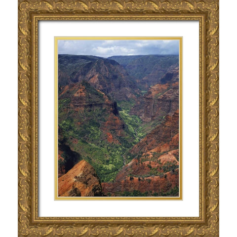 USA, Hawaii, Kauai Waimea Canyon overlook Gold Ornate Wood Framed Art Print with Double Matting by Flaherty, Dennis