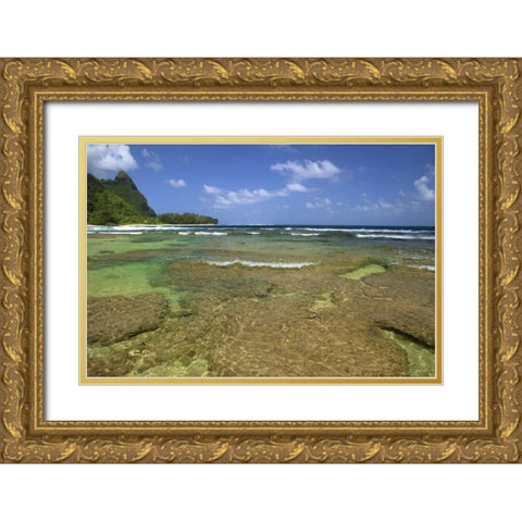 Hawaii, Kauai Coral formations on Tunnels Beach Gold Ornate Wood Framed Art Print with Double Matting by Flaherty, Dennis