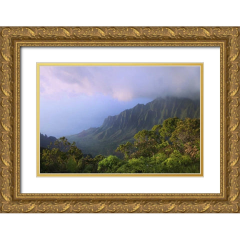 Hawaii, Kauai Kalalau Overlook of Na Pali Coast Gold Ornate Wood Framed Art Print with Double Matting by Flaherty, Dennis