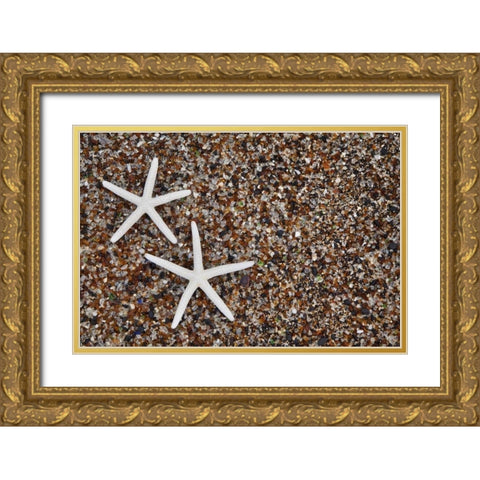 Hawaii, Kauai Starfish skeletons on Glass Beach Gold Ornate Wood Framed Art Print with Double Matting by Flaherty, Dennis