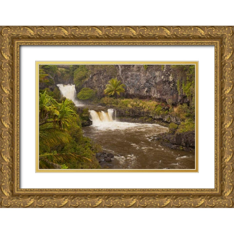 HI, Maui, Haleakala NP Seven Sacred Pools Gold Ornate Wood Framed Art Print with Double Matting by Illg, Cathy and Gordon
