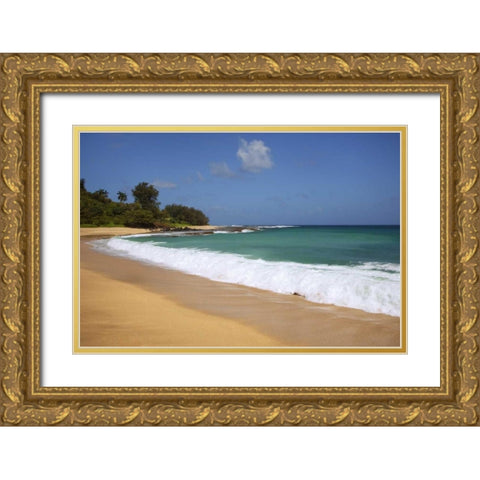 USA, Hawaii, Kauai Scenic of Secret Beach Gold Ornate Wood Framed Art Print with Double Matting by Flaherty, Dennis