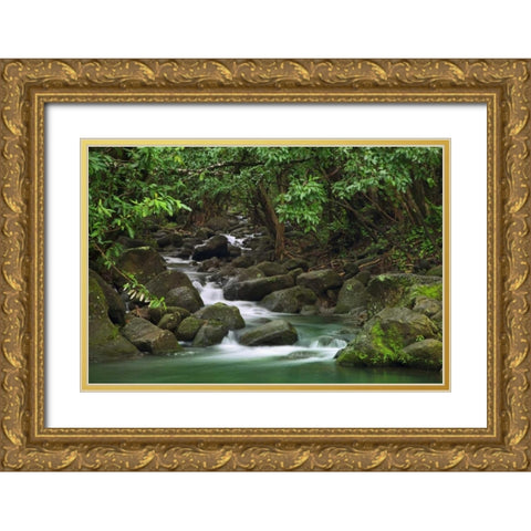 Hawaii, Kauai Creek flowing from a rainforest Gold Ornate Wood Framed Art Print with Double Matting by Flaherty, Dennis