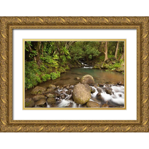 Hawaii, Kauai Creek flowing from a rainforest Gold Ornate Wood Framed Art Print with Double Matting by Flaherty, Dennis