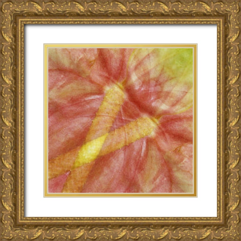 USA, Hawaii Anthurium flower montage Gold Ornate Wood Framed Art Print with Double Matting by Bush, Marie
