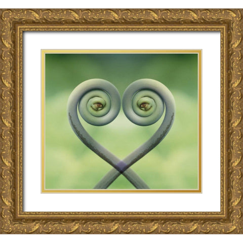 Hawaii Frond montage at Akaka Falls State Park Gold Ornate Wood Framed Art Print with Double Matting by Bush, Marie