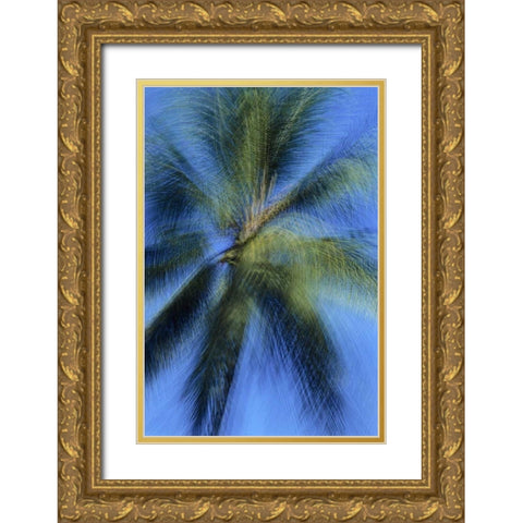 USA, Hawaii Palm tree montage Gold Ornate Wood Framed Art Print with Double Matting by Bush, Marie