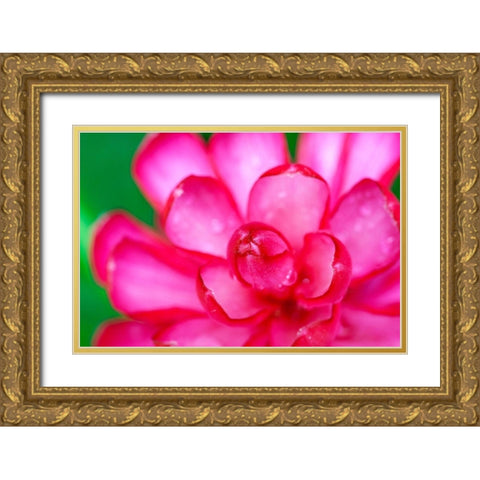 Hawaii-Kauai Ginger flower abstract Gold Ornate Wood Framed Art Print with Double Matting by Jaynes Gallery