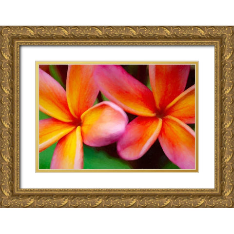 Hawaii-Kauai Abstract of plumeria flowers Gold Ornate Wood Framed Art Print with Double Matting by Jaynes Gallery
