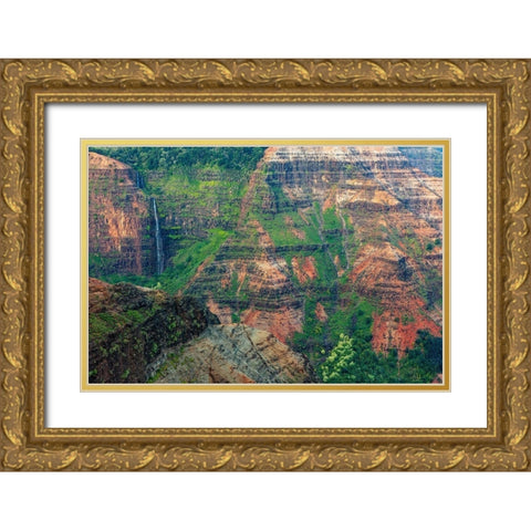 Waipoo Waterfall in Waimea Canyon State Park in Kauai-Hawaii-USA Gold Ornate Wood Framed Art Print with Double Matting by Haney, Chuck