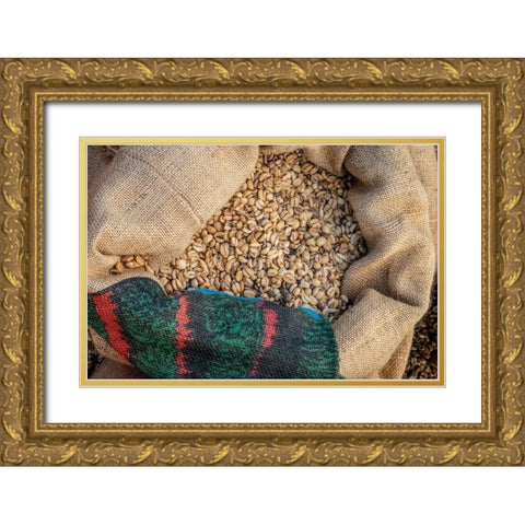 Kauai Coffee beans drying-Kauai-Hawaii-USA Gold Ornate Wood Framed Art Print with Double Matting by Engelbrecht, Jim