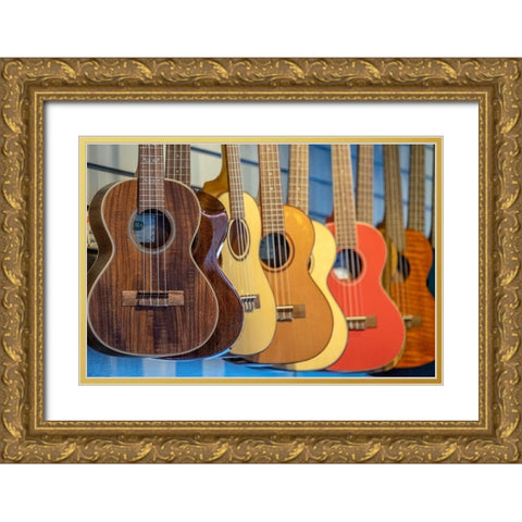 Ukulele in music store-Kauai-Hawaii-USA Gold Ornate Wood Framed Art Print with Double Matting by Engelbrecht, Jim