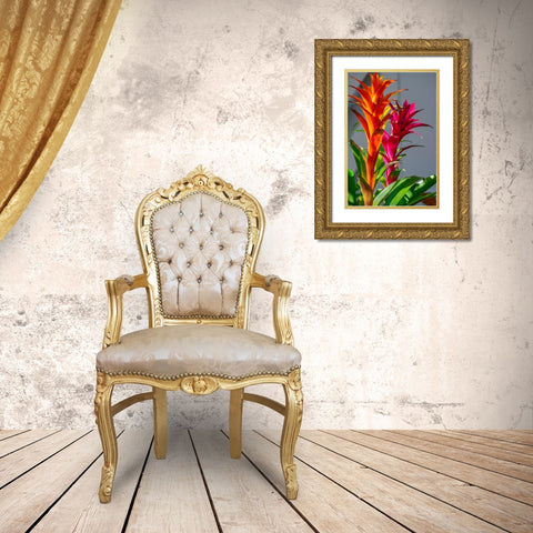 Bromeliad Gold Ornate Wood Framed Art Print with Double Matting by Engelbrecht, Lisa S.