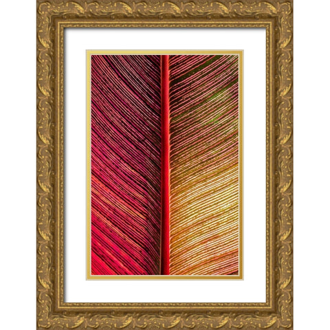 Tropical Vibes Gold Ornate Wood Framed Art Print with Double Matting by Engelbrecht, Lisa S.