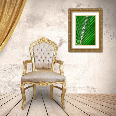 Palm frond Gold Ornate Wood Framed Art Print with Double Matting by Engelbrecht, Lisa S.