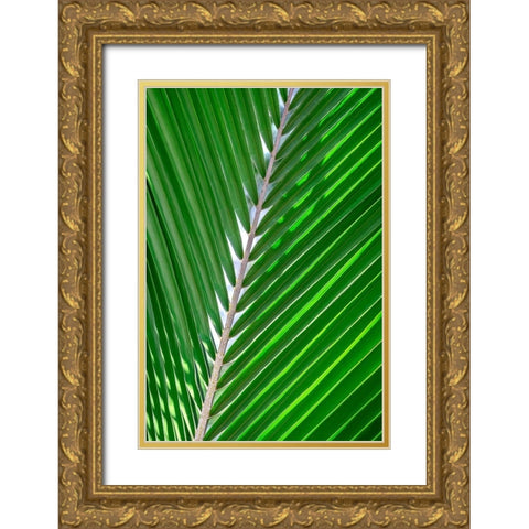 Palm frond Gold Ornate Wood Framed Art Print with Double Matting by Engelbrecht, Lisa S.