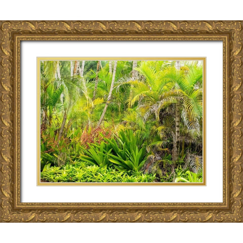 Hawaii-Maui-Hana-garden on the road to Hana with palms and bromide plants Gold Ornate Wood Framed Art Print with Double Matting by Gulin, Sylvia