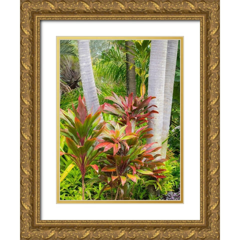 Hawaii-Maui-garden on the Road to Hana with palms and tea plants Gold Ornate Wood Framed Art Print with Double Matting by Gulin, Sylvia