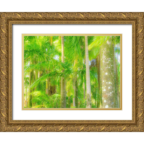 Hawaii-Maui-Road to Hana and the lush tropical Palm Trees Gold Ornate Wood Framed Art Print with Double Matting by Gulin, Sylvia